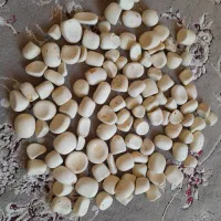 100عددسنگ اسیاب و|کلکسیون اشیاء عتیقه|فیروزه, |دیوار