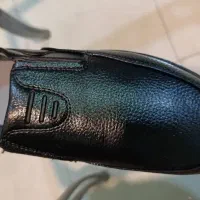 کفش کار اداری**|کیف، کفش، کمربند|کرمان, |دیوار