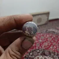انگشتر شجر