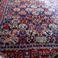 یک عدد فرش دستباف دوازده متری چالشتری|فرش|شهرکرد, |دیوار