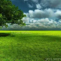 زمین مسکونی خورموج