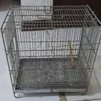 قفس پرنده