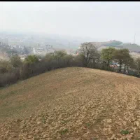 زمین کشاورزی 2000متری قیمت هر متر ۱ملیون و دویست