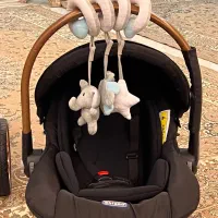 کریر حمل نوزاد