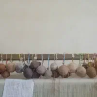 نخ ونقشه و دارقالی شاعر جوان