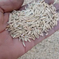 ۱۰ تن جو تمیز محلی
