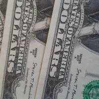 پنج عدد دو دلاری سریال پشت هم کیفیت ۱۰۰درصد|کلکسیون سکه، تمبر، اسکناس|تهران, فلسطین (میدان انقلاب)|دیوار