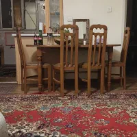 خانم بابت آشپزی و امور منزل