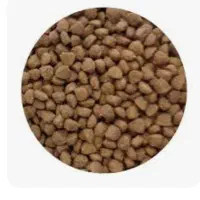 غذا خشک سگ