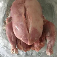 مرغ تلفاتی پاک کرده غذایه حیوانات زیر قیمت|عمدهفروشی|بابل, |دیوار