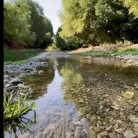 اجاره روزانه خانه باغ ویلایی|اجارهٔ کوتاهمدت ویلا و باغ|ملکشاهی, |دیوار