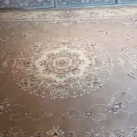 فرش گردویی ۱۲متری