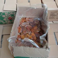 خرمای شاهانی خاوران(خونه کهدون)|خوردنی و آشامیدنی|مرودشت, فرهنگ|دیوار