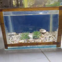 اکواریوم کوچک