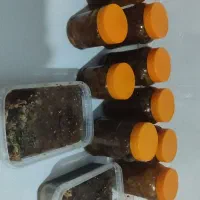 عسل وحشی کوهی