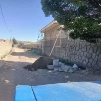 زمین باغی