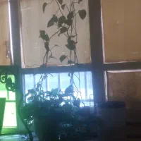 گل وگلدان زیبا