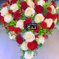 فقط۱۲۵۰۰۰۰ تومان ازصبح تا ۴ عصر|تور و چارتر|قشم, |دیوار