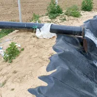 زمین زراعی|فروش دفتر صنعتی، کشاورزی، تجاری|انزل, |دیوار