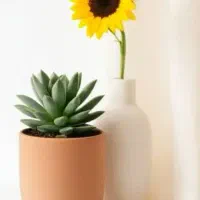 وام بانک مرکزی