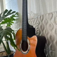 گیتار دیاموند|گیتار، بیس، امپلیفایر|پاکدشت, پاکدشت (مامازند)|دیوار