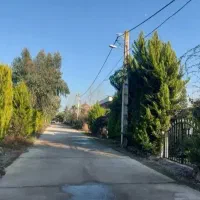 زمین  260 متری در شهرک با  اصالت سرخرود