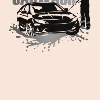 نیازمند نیروی کارواش با درصدبالاو تسویه شب به شب