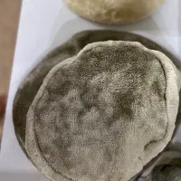 کلاه پشمی|لباس|ایوان, |دیوار