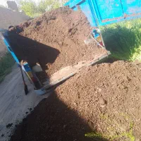 کود وپین گوسفندی