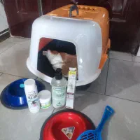 باکس سگ