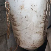 خرمنکوب|ماشین‌آلات صنعتی|انزل, |دیوار