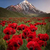 سیم کارت ۳۴۹