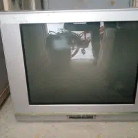 تلویزیون