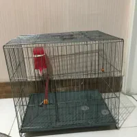 قفس پرنده های خونگی سالم با جای دون خوری و جای اب|لوازم جانبی حیوانات|کرج, گلشهر|دیوار