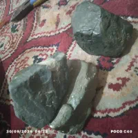 سبز رنگ