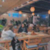 ویتر سالنکار ظرف شور