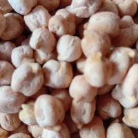 نخود درجه یک|خوردنی و آشامیدنی|دهگلان, |دیوار