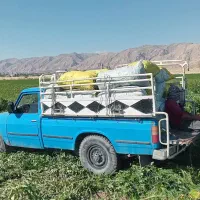 نیسان وانت سایپا|خودرو سواری و وانت|بهبهان, |دیوار