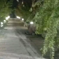 باغ-اول-منجیل-آباد