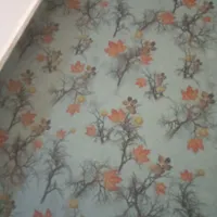 موکت