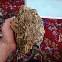 اکواریوم شرکتی مقداری لوازم