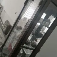 فروش بوفه دکوری|بوفه، ویترین، کنسول|فسا, |دیوار