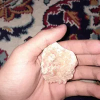 سنگ زیبا|ماهی|شیروان (خراسان), |دیوار