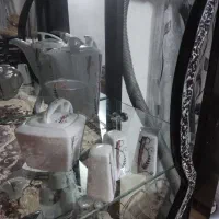 سرویس چینی خارجی نو|ظروف سرو و پذیرایی|فلاورجان, |دیوار