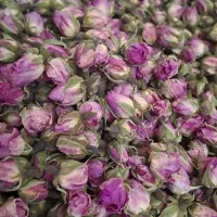 گل محمدی|خوردنی و آشامیدنی|قم, دروازه ری|دیوار