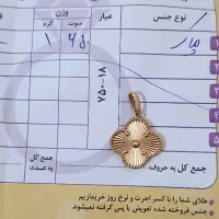 پلاک طلا ونکلیف