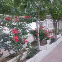 منزل-ویلایی-کلنگی-340-متر-بر-امام-53