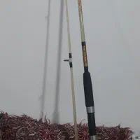 لنسر ماهیگیری، Daiwa 240