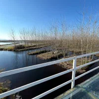 مهمان شماست نسیم خنک|فروش خانه و ویلا|معصومیه, |دیوار