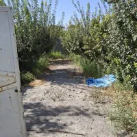 فروش باغچه ۸۶۰ متری|فروش دفتر صنعتی، کشاورزی، تجاری|باغستان, |دیوار